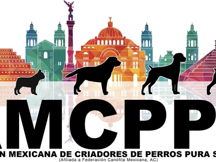 AMCPPS 2025
