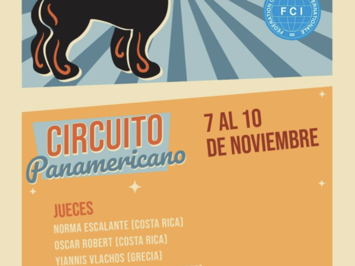 Circuito Panamericano