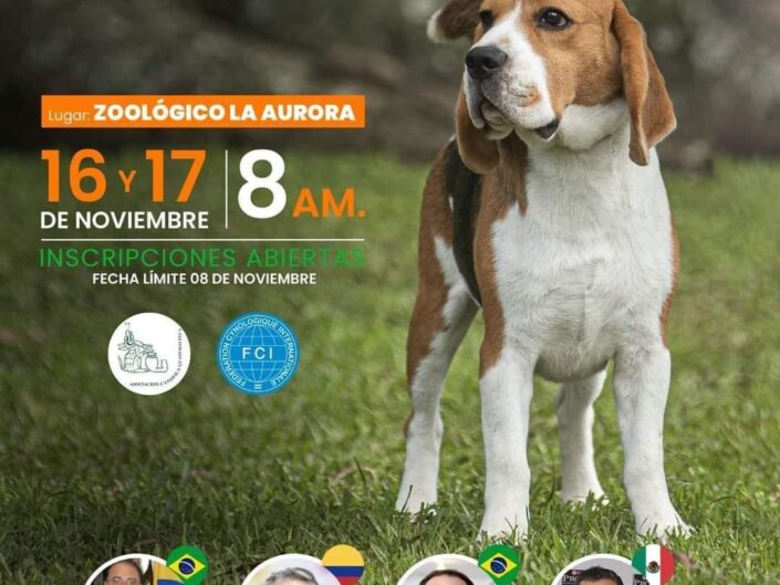 ExpoCan Internacional 2024