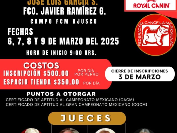 Club 00