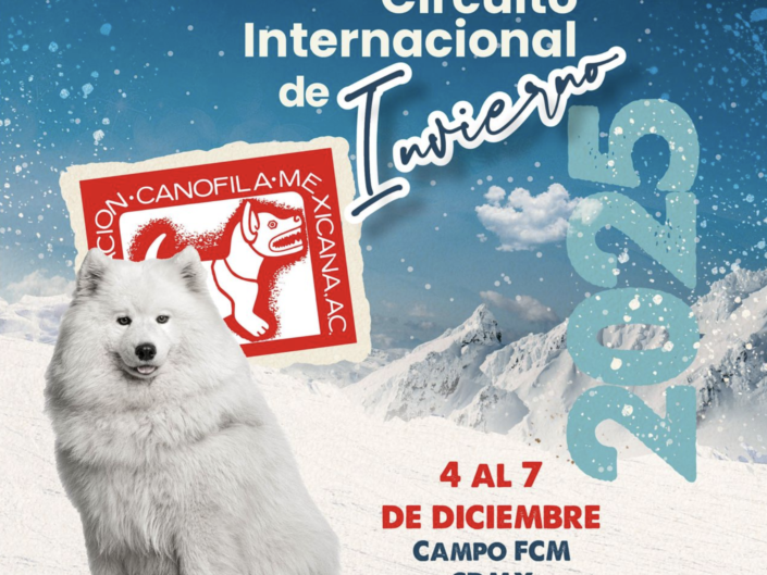 Circuito de Invierno 2025